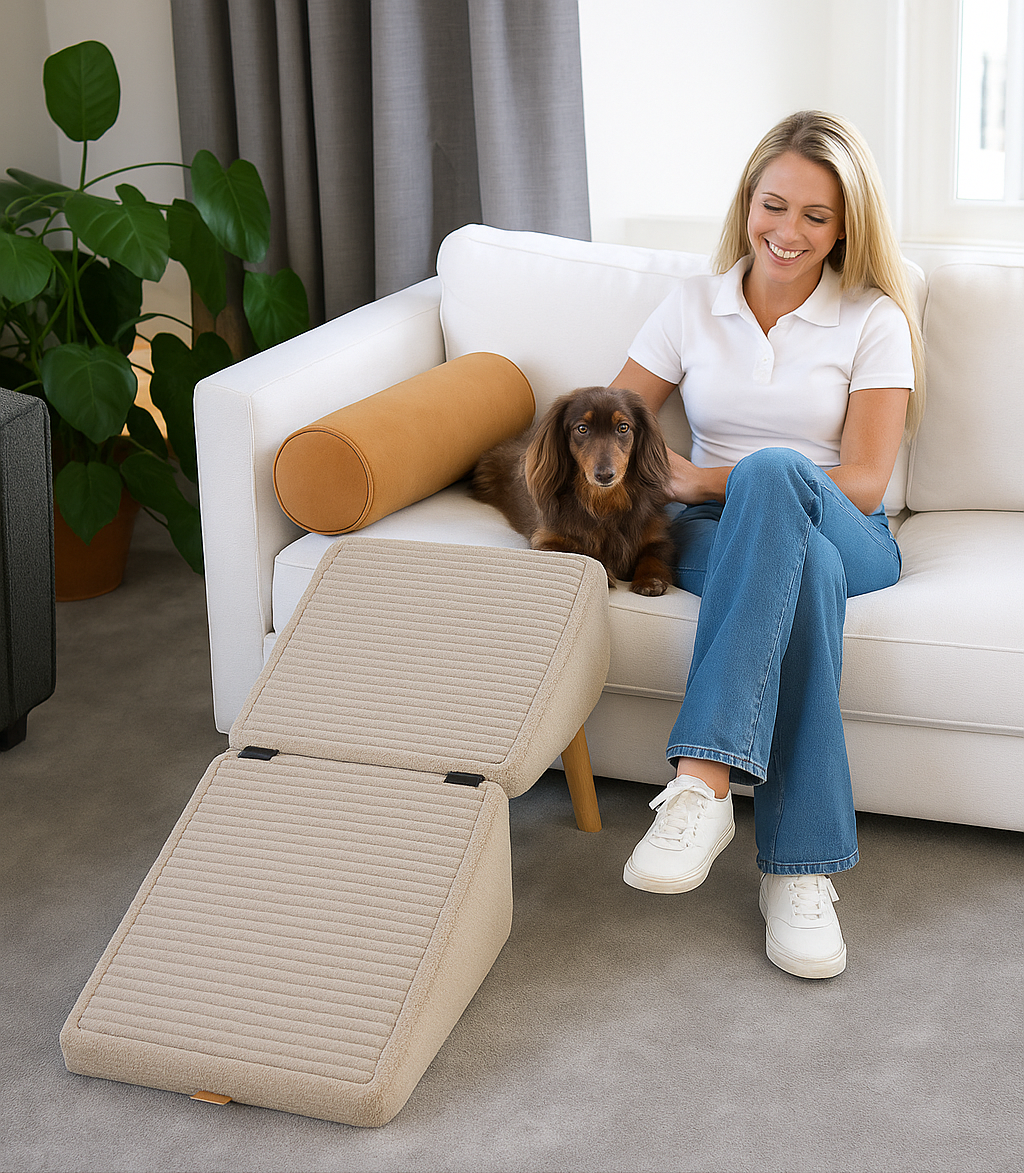 The Dog Ramp Ottomon